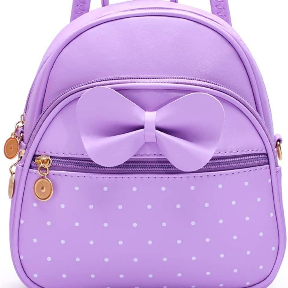 Handbag/bookbag